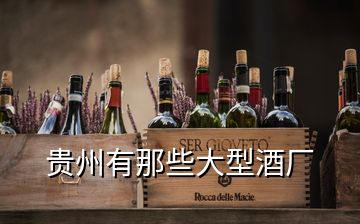 貴州有那些大型酒廠