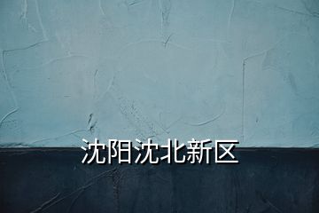 沈陽沈北新區(qū)