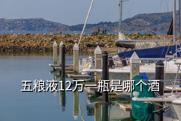 五糧液12萬(wàn)一瓶是哪個(gè)酒