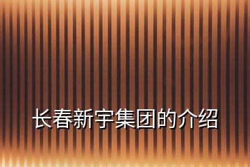 長(zhǎng)春新宇集團(tuán)的介紹