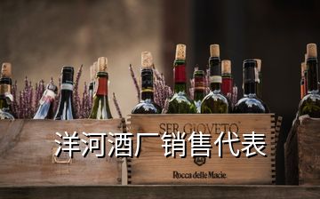 洋河酒廠銷售代表