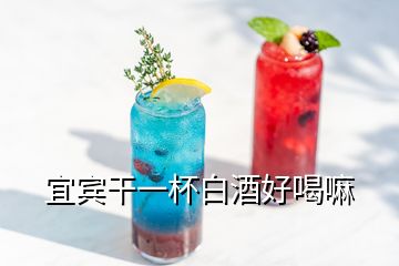 宜賓干一杯白酒好喝嘛