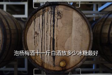 泡楊梅酒十一斤白酒放多少冰糖最好