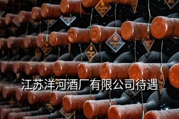 江蘇洋河酒廠有限公司待遇