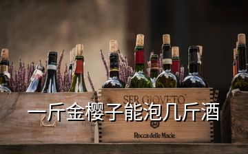 一斤金櫻子能泡幾斤酒