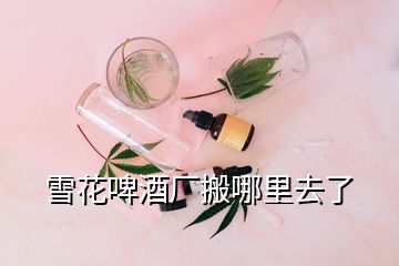 雪花啤酒廠搬哪里去了