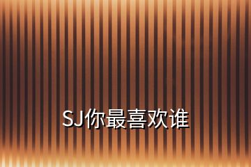 SJ你最喜歡誰