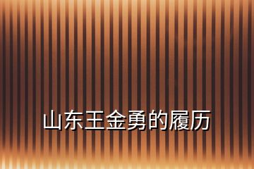 山東王金勇的履歷