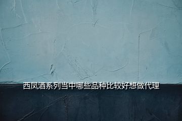 西鳳酒系列當(dāng)中哪些品種比較好想做代理