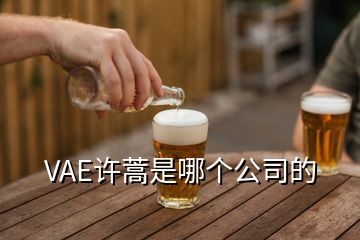 VAE許蒿是哪個(gè)公司的