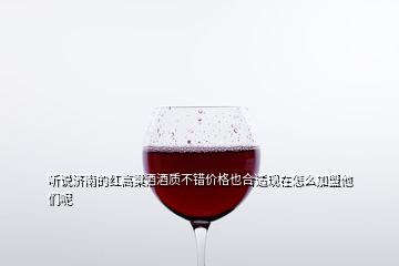 聽說濟南的紅高粱酒酒質不錯價格也合適現(xiàn)在怎么加盟他們呢