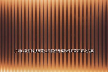 廣州LY軟件科技研發(fā)公司提供專案軟件開發(fā)和解決方案