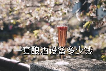 一套釀酒設(shè)備多少錢