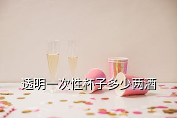 透明一次性杯子多少兩酒