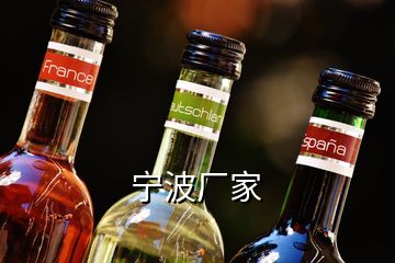 寧波廠(chǎng)家