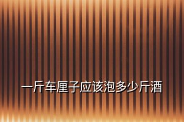 一斤車厘子應該泡多少斤酒