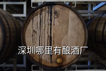 深圳哪里有釀酒廠