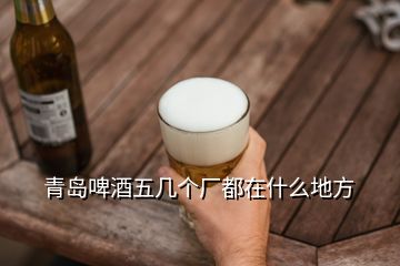 青島啤酒五幾個(gè)廠都在什么地方