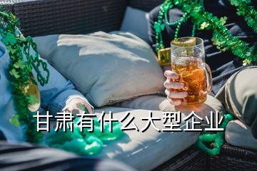 甘肅有什么大型企業(yè)