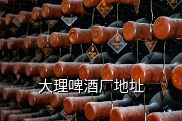 大理啤酒廠地址