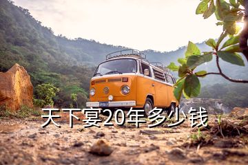 天下宴20年多少錢