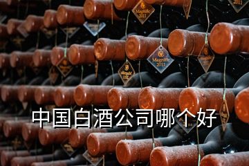 中國白酒公司哪個好