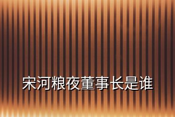 宋河糧夜董事長是誰