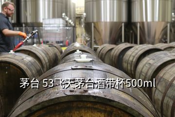 茅臺(tái) 53飛天茅臺(tái)酒帶杯500ml