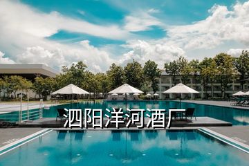 泗陽洋河酒廠