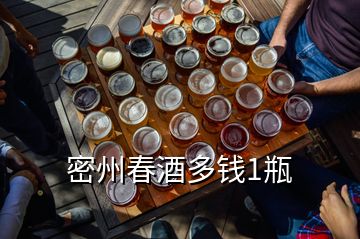 密州春酒多錢1瓶