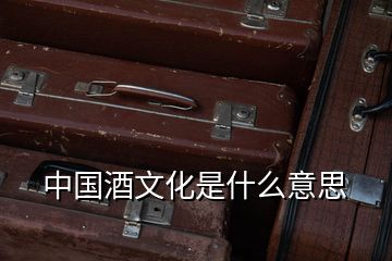 中國(guó)酒文化是什么意思