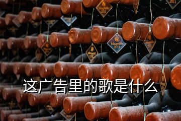 這廣告里的歌是什么