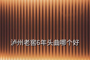 瀘州老窖6年頭曲哪個好