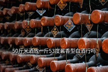 50斤米酒放一斤53度醬香型白酒行嗎