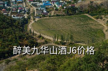 醉美九華山酒J6價格