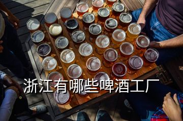 浙江有哪些啤酒工廠