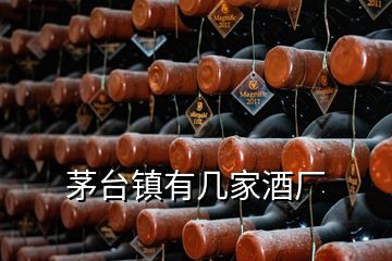 茅臺(tái)鎮(zhèn)有幾家酒廠(chǎng)