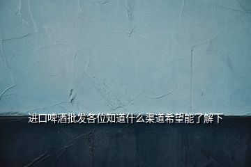 進(jìn)口啤酒批發(fā)各位知道什么渠道希望能了解下