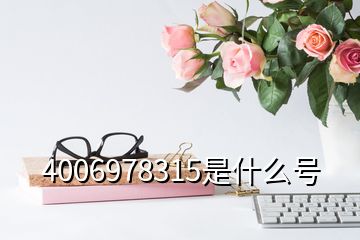 4006978315是什么號(hào)