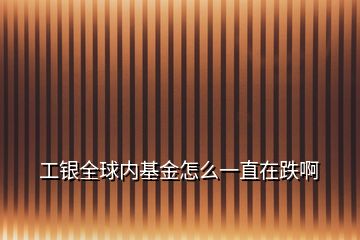 工銀全球內(nèi)基金怎么一直在跌啊