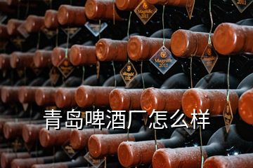 青島啤酒廠怎么樣