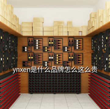 ynxen是什么品牌怎么這么貴