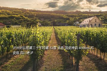 瀘州封壇窖藏三十年珍藏 52度 濃香 國瓷神韻 4000ml 紅瓷瓶 四川老瀘