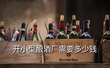 開小型釀酒廠需要多少錢