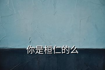 你是桓仁的么