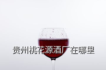 貴州桃花源酒廠在哪里