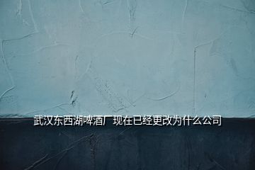 武漢東西湖啤酒廠現(xiàn)在已經(jīng)更改為什么公司