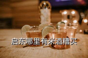 啟東哪里有米酒糟買