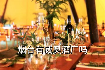 煙臺(tái)有威奧酒廠嗎