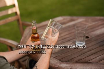 飲料廠污水處理工藝設(shè)計2000m3d進水COD 2500BOD2000SS